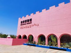 -漳州滨海火山岛自然生态风景区