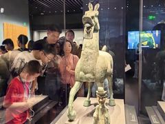 -广西壮族自治区博物馆