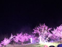 -常德桃花源景区