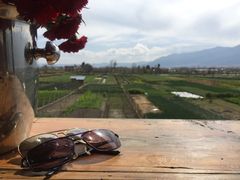 -翠田Green Field Kitchen