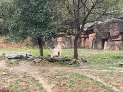 -杭州野生动物世界