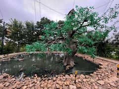 -西霞口神雕山野生动物世界