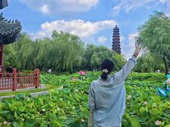 -开封市鼓楼广场(宋都皇城旅游度假区)