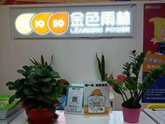 -金色雨林学习力培优(专注力提升)