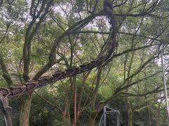 -杭州少年儿童公园