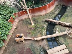 -呀路古热带植物园