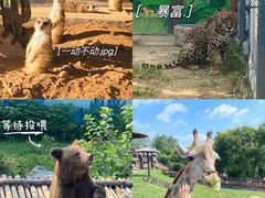 -济南野生动物世界
