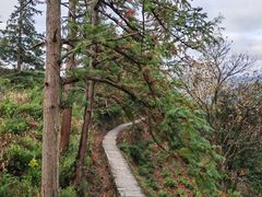 -塔川景区