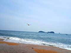 -银沙滩浴场