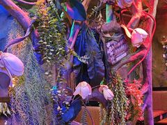 -醉小酒馆·川菜·江湖菜·重庆菜(观音桥旗舰店)