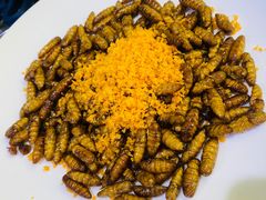 -石岐乳鸽村(南海第三分店)