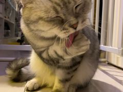 -平行世界·猫咖(首经贸店)