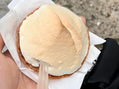 -高老太奶油小攀(新建南路店)