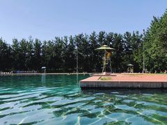 -柳浪游泳场