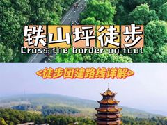 -铁山坪森林公园