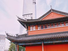 -紫峰大厦