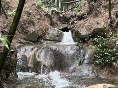 -缙云山景区