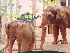-广州动物园