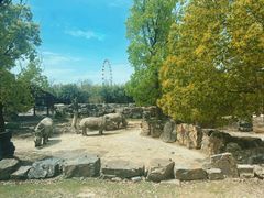 -上海野生动物园