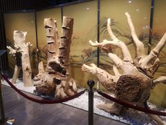 -中国沉香文化博物馆