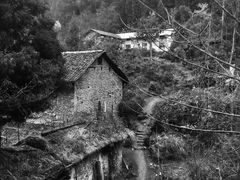 -鹿院坪生态旅游景区