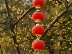 -无锡梅园公园