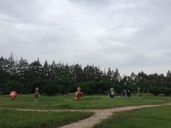 -上海长兴岛郊野公园