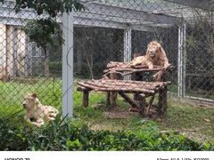 -合肥野生动物园