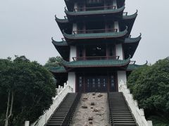 -桂湖森林公园