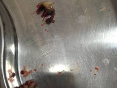 -荣耀金沙动物医院(清江西路店)