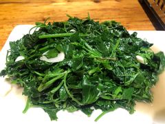 素炒灰挑菜-老滇山寨•云南特色菜•地方菜•民族风情歌舞表演(金碧店)