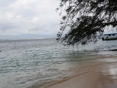 -东姑阿都拉曼海洋公园