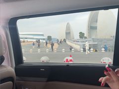 -野狸岛