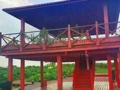 -嘉北郊野公园