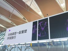 -上海浦东国际机场-T2航站楼