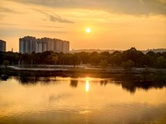-眉山湿地公园(东坡区)