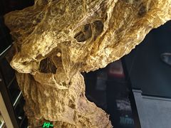 -顶特勒·黄鱼馆·特色菜(上海大世界店)