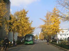 -四川大学(望江校区)