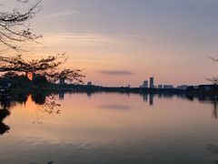 -海珠湖公园