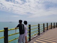 -广东惠东海龟国家级自然保护区