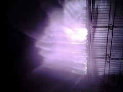 android_upload_pic-东港音乐喷泉广场