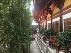 -大唐博相府酒店·陕西官府菜