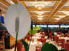 -万宝海鲜舫(劳动公园店)