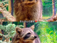 -正佳雨林生态植物园