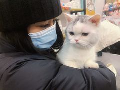 -关爱宠物医院·猫科中心·消化科(滨湖万达分院)