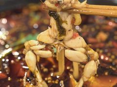 -鸿顺老铁锅美蛙鱼府(解放碑店)