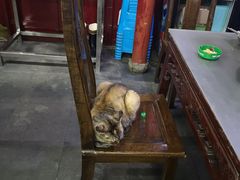 -协和菜馆(凤凰街店)