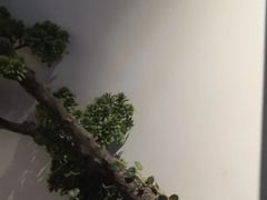 -上足·影院足道·SPA(红岭店)