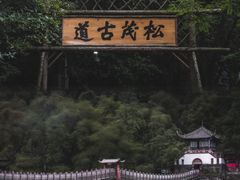 -青城山