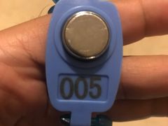 -翡翠湖迎宾馆·游泳馆